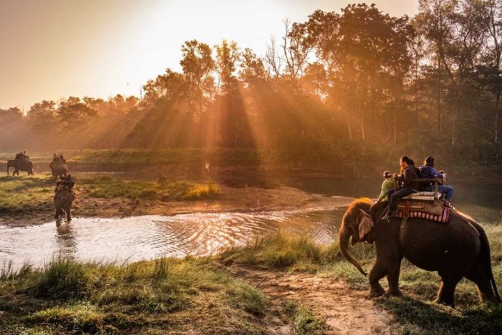 Tour Đắk Lắk 1 Ngày: Chuyến Đi Đầy Ấn Tượng